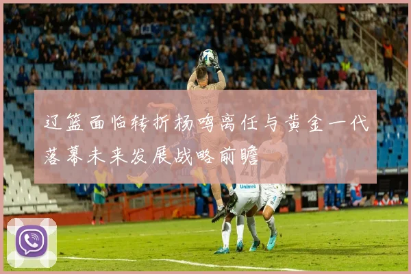 辽篮面临转折杨鸣离任与黄金一代落幕未来发展战略前瞻