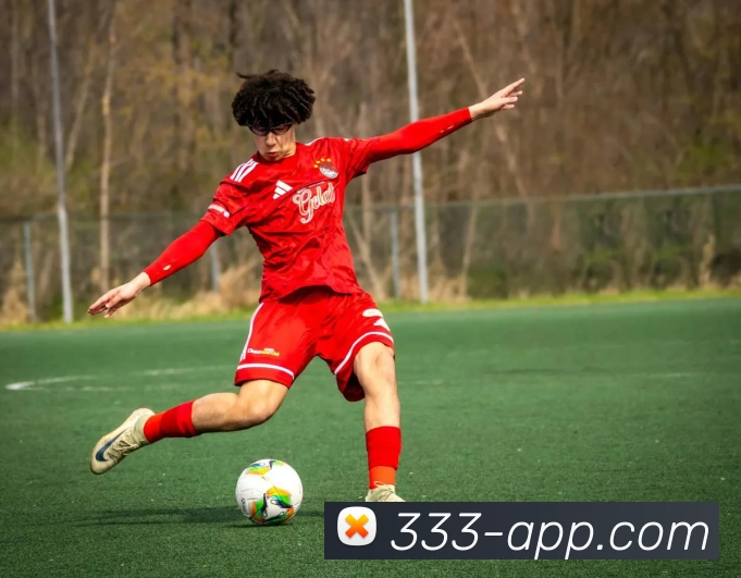 333体育：引领数字化竞技内容传播与交互的新标准品牌故事